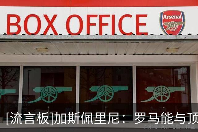 [流言板]加斯佩里尼：罗马能与顶级强队抗衡；阿莱格里言论非常不妥